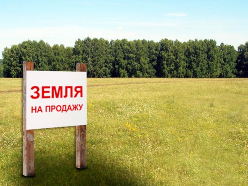 Сто раз проверь, один отрежь. Выбираем земельный участок для строительства дома Сто раз проверь, один отрежь. Выбираем земельный участок для строительства дома