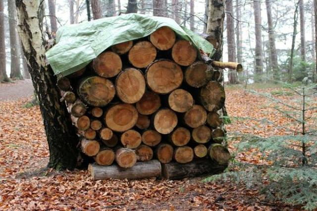 4b71e5 Храним дрова на даче правильно